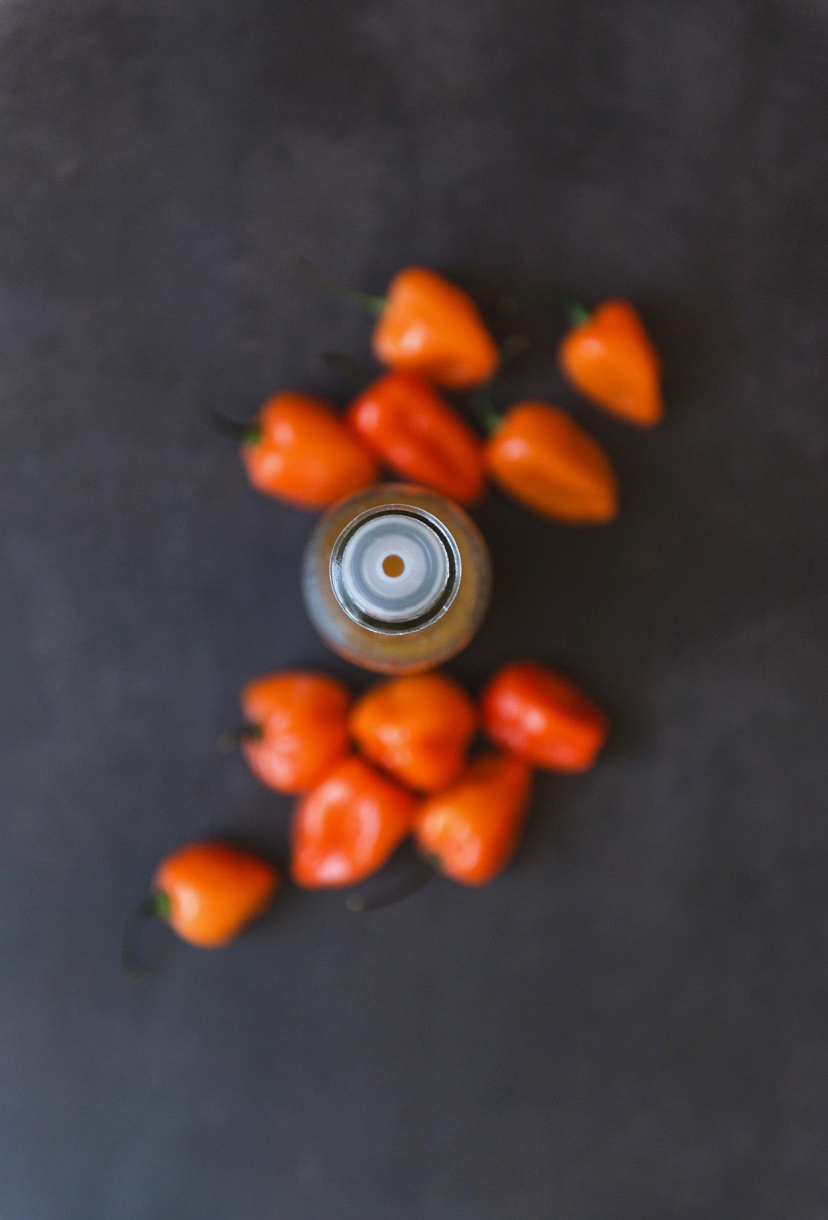 Carrot Ginger | (Red-Headed Stepkids)