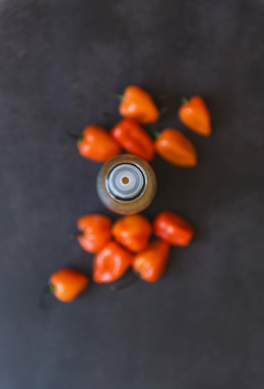 Carrot Ginger        |    (Red-Headed Stepkids)